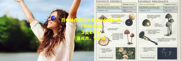 бутират Абдулино