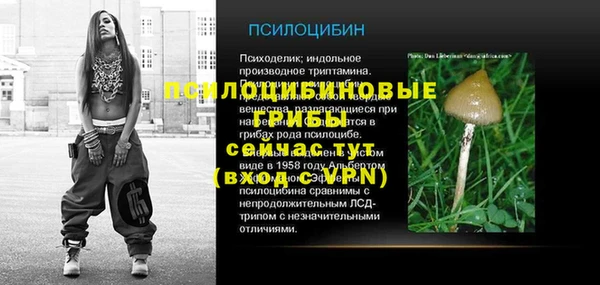 шишки Алзамай
