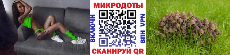 darknet состав  Дальнереченск  Галлюциногенные грибы GOLDEN TEACHER 